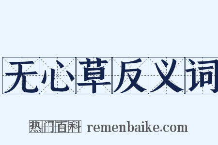 无心草反义词是什么意思的图片